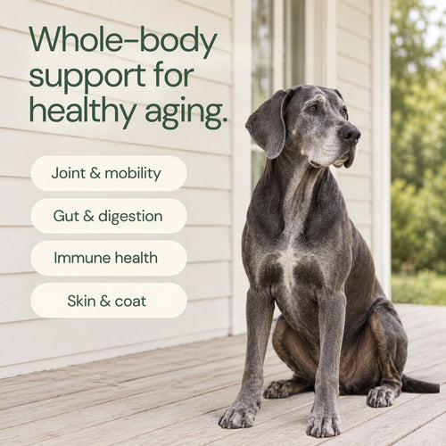 Longevity & Vitality Soft Chew
