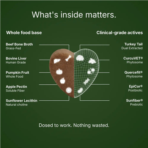 Roots Pet Daily Chew for Dogs