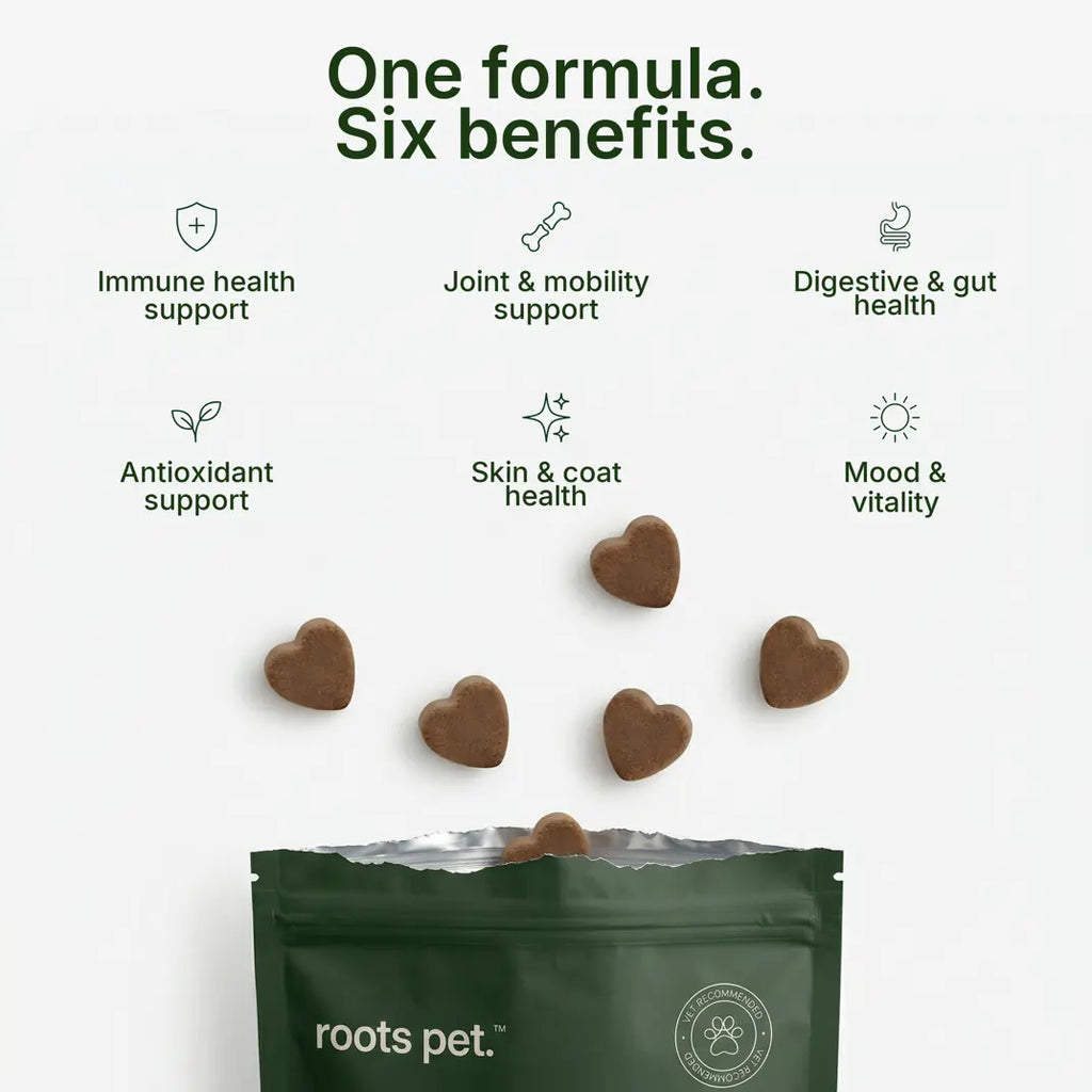 Roots Pet Daily Chew for Dogs