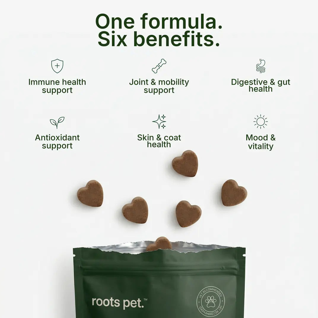 Roots Pet Daily Chew for Dogs