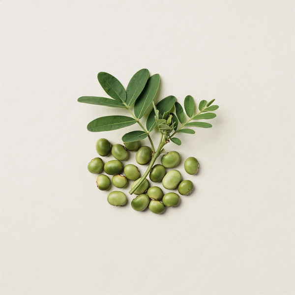 Fibalance® Prebiotic