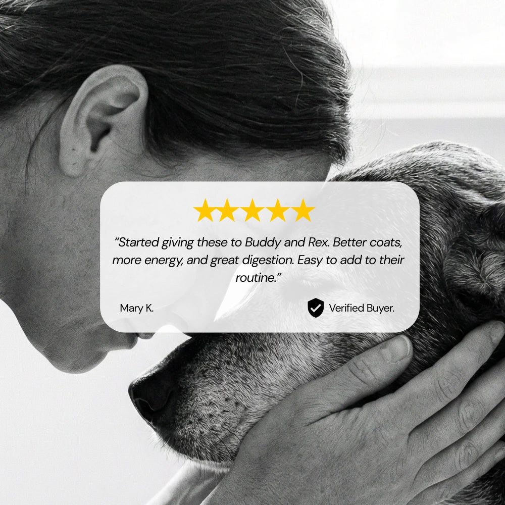 Roots Pet Daily Chew for Dogs