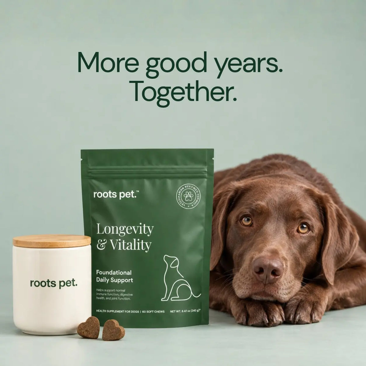 Longevity & Vitality Soft Chew