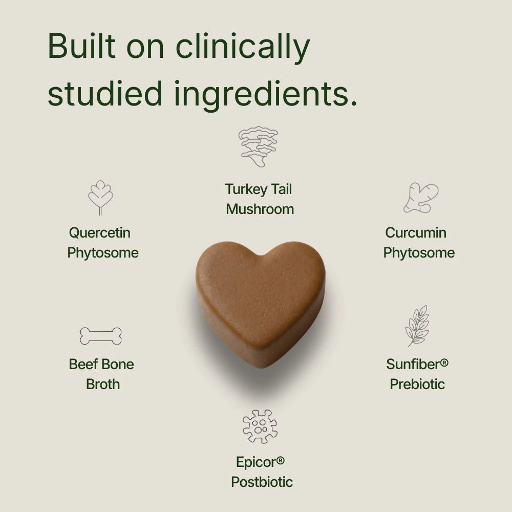 Roots Pet Daily Chew for Dogs