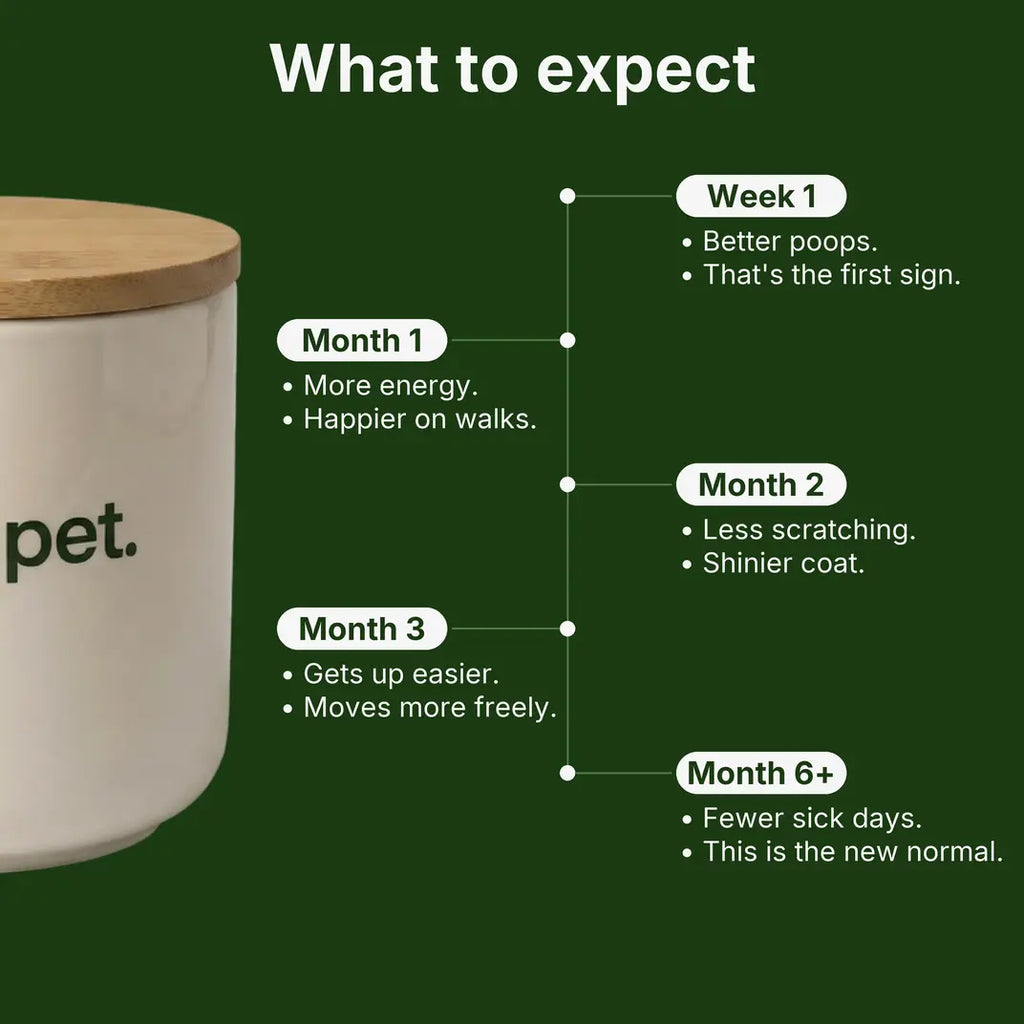 Roots Pet Daily Chew for Dogs
